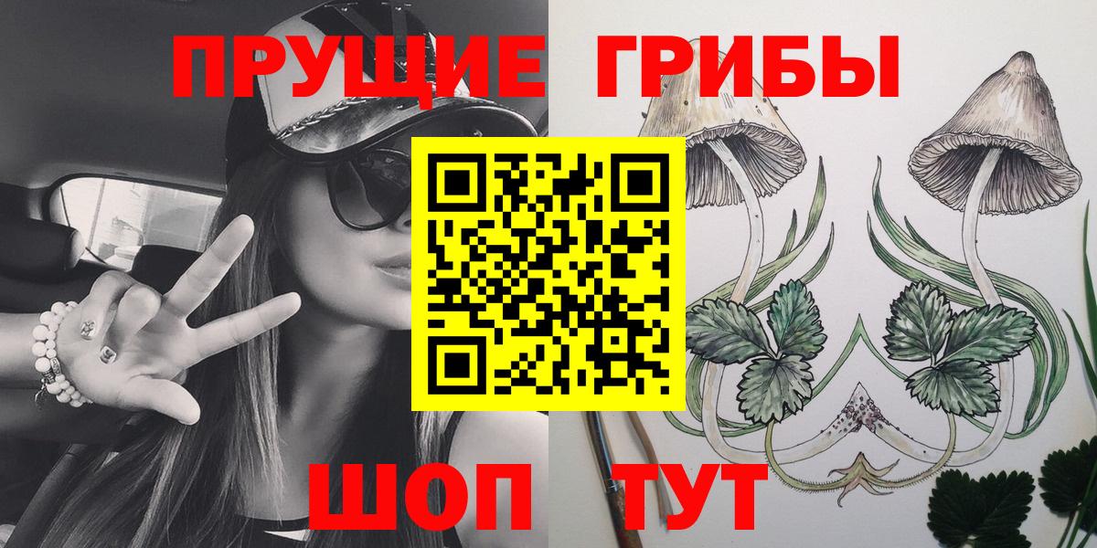 Галлюциногенные грибы мицелий Сосновый Бор